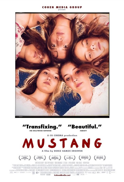 مسلسل موستانج مدبلج قصة عشق الاصلي